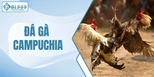 Đá gà Campuchia