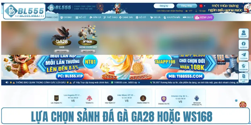 Cá Cược Đá Gà Trực Tiếp Hôm Nay Hấp Dẫn Cùng BL555 3 Lựa chọn sảnh đá gà GA28 hoặc WS168
